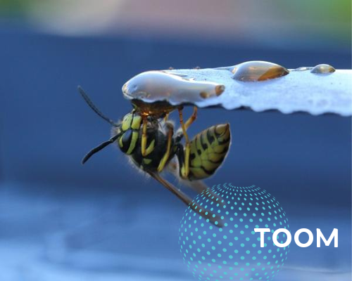 网络公关如何协助企业进行网络品牌的全球化推广👏