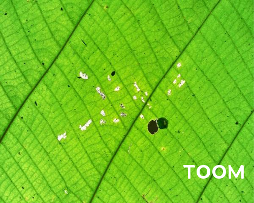 网络公关如何帮助企业进行网络品牌的数据分析和优化🦦