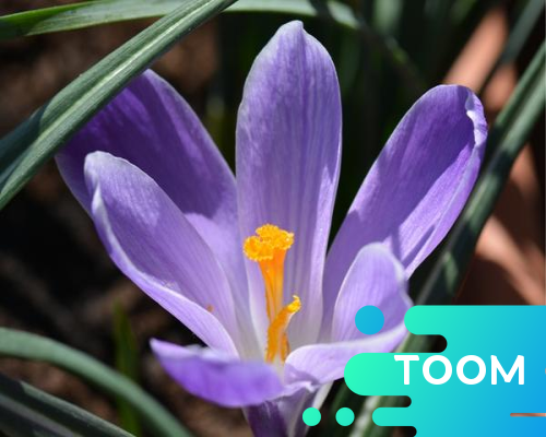 公关危机公司🤶