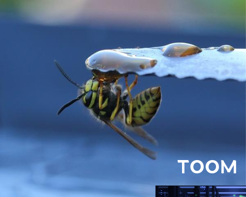 成功公关案例🧫