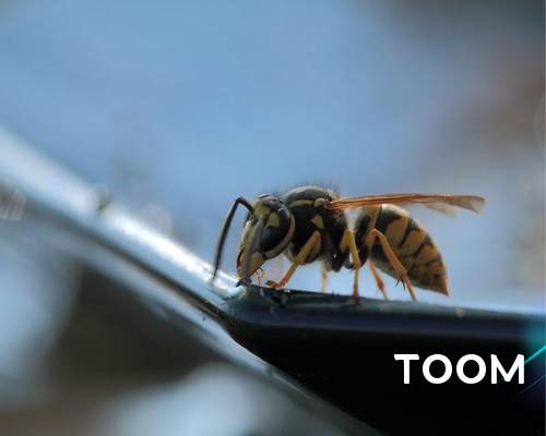 公关活动策划方案📤