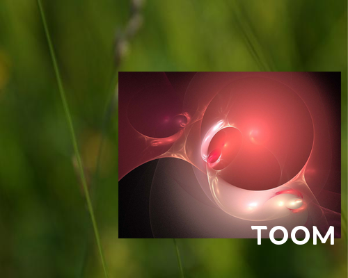 社交媒体舆情管理：如何管理社交媒体上的舆情🏞️