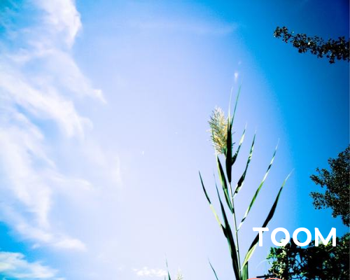 突发事件公关预案：如何制定突发事件公关预案🎊